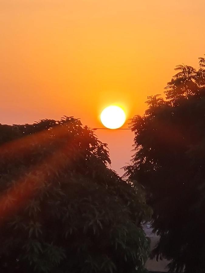 Maison D Hote La Dore Du Senegal Bas-De - Villa ソモーヌ エクステリア 写真